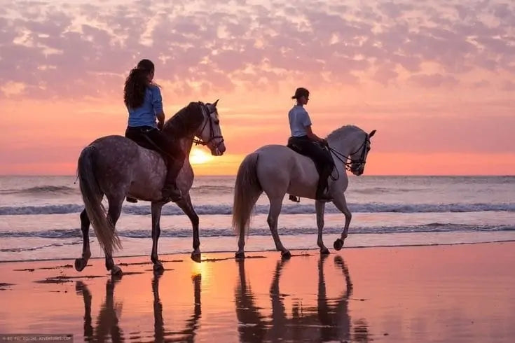 Horse riding experience on Agadir beach during sunset arranged by DHAJIA Morocco