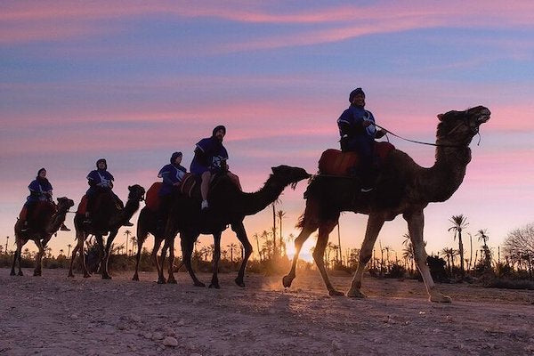 Camel riding experience in Agadir arranged through DHAJIA Morocco