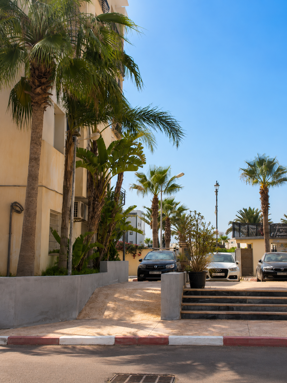 Palm-lined street near the Haut Founty apartment in Agadir.