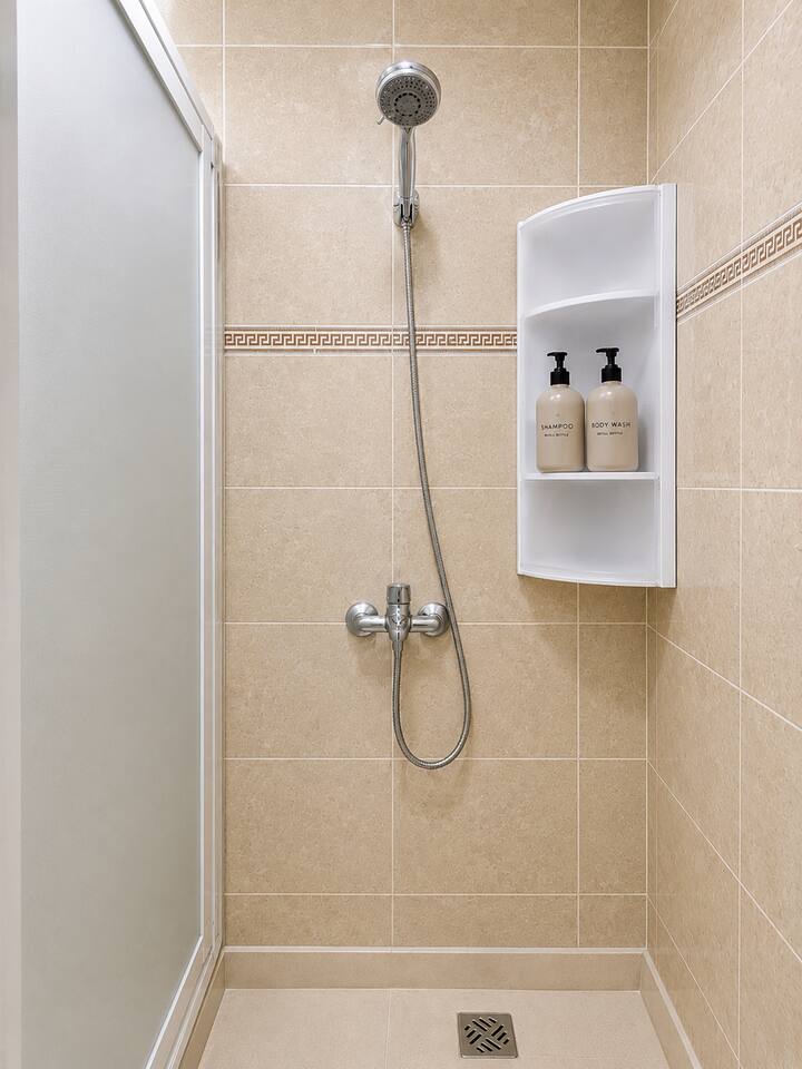 Walk-in shower with wall-mounted toiletries in the Hay Mohammadi apartment.