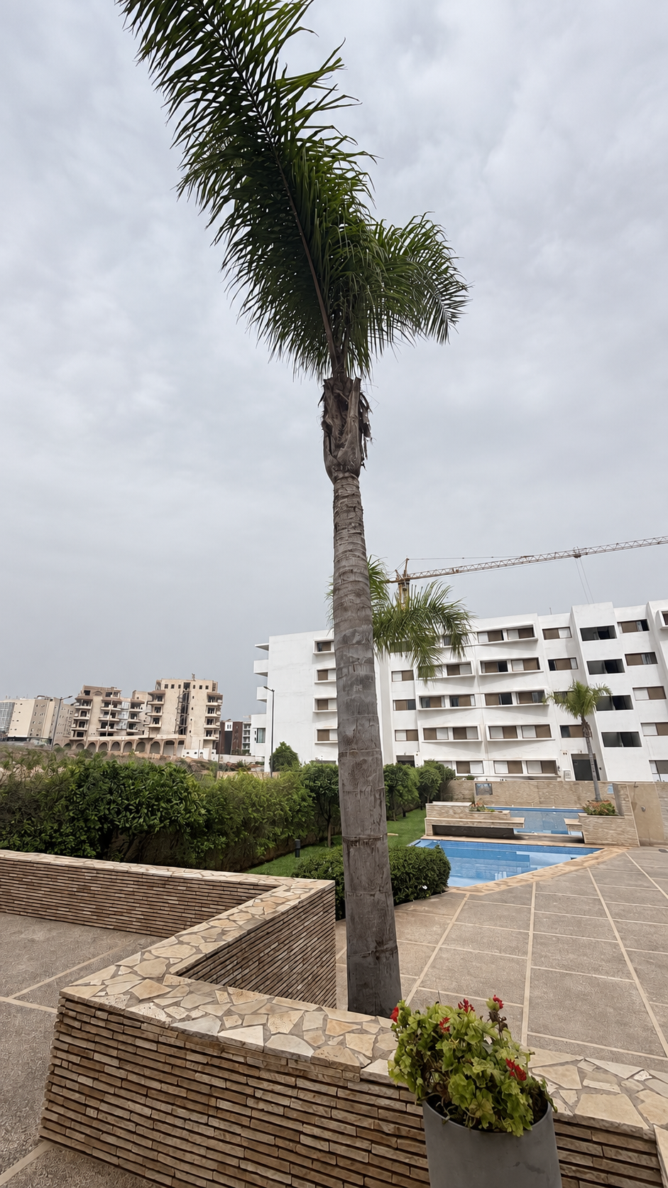 Residence courtyard and palm trees at the Iken Gardens holiday apartment, Agadir Bay