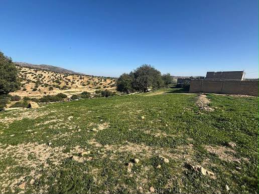 Agricultural land offered for sale in the Taroudant region, with vegetation and surrounding rural landscape